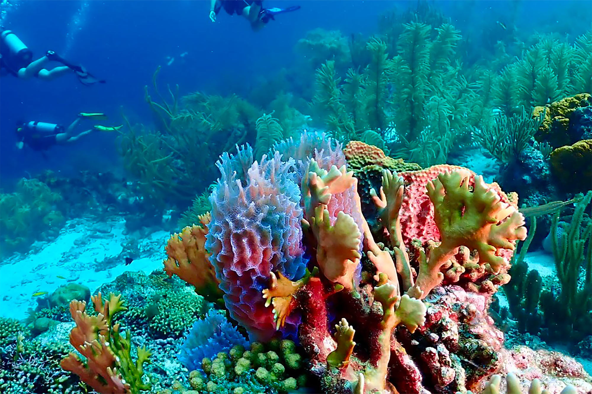 Vakantiehuis Villa di Koko Curacao